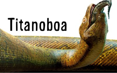 Facts about the… Titanoboa!